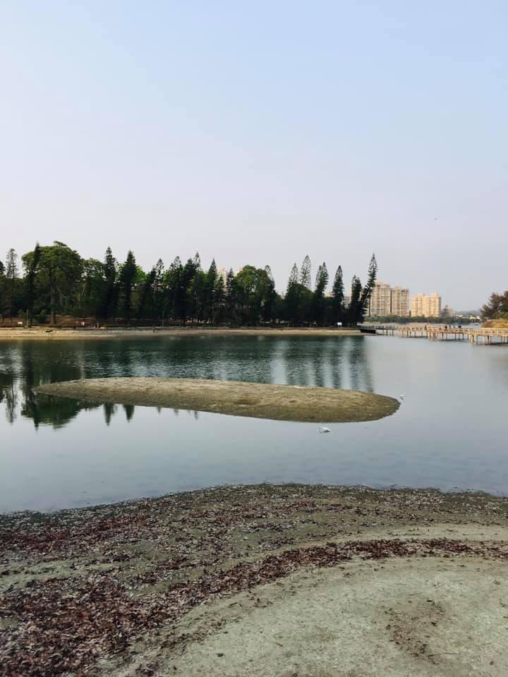 網民直呼澄清湖出現「小沙洲」,同時可見土地龜裂、草叢叢生情景。 圖:翻攝自臉書 網民直呼澄清湖出現「小沙洲」,同時可見土地龜裂、草叢叢生情景。 圖:翻攝自臉書