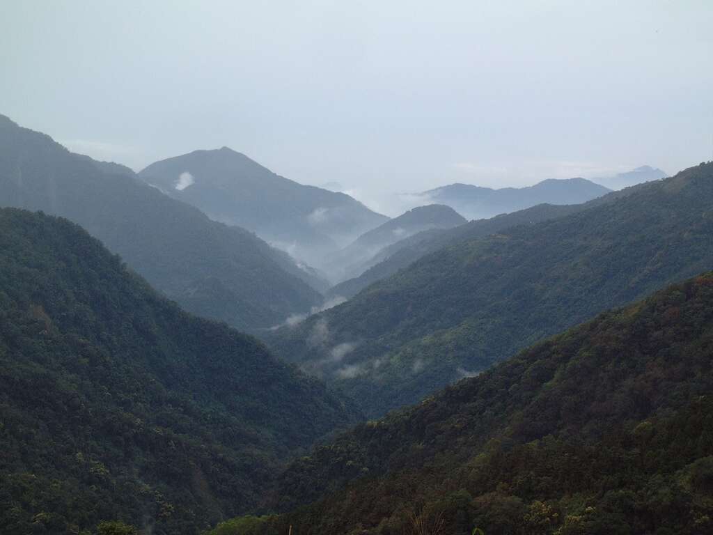 藤枝國家森林遊樂區風景優美。 圖:高雄市政府/提供 藤枝國家森林遊樂區風景優美。 圖:高雄市政府/提供