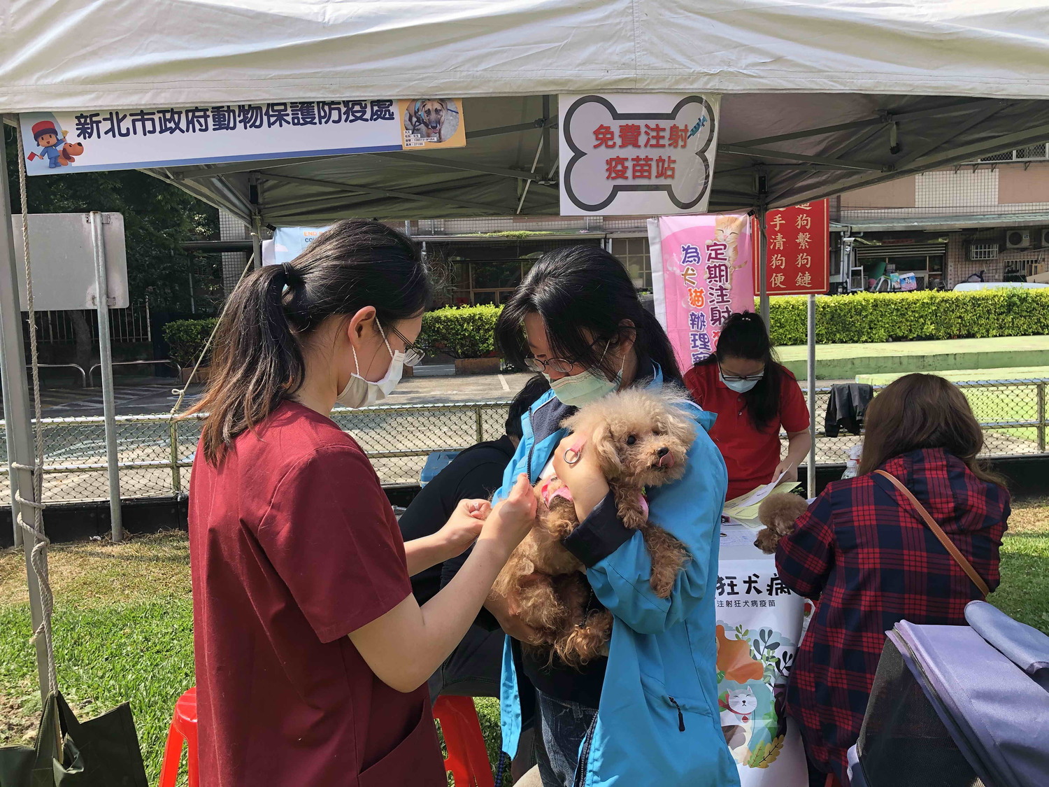 新北市動保處到土城寵物公園提供免費狂犬病疫苗施打。 圖:新北市動保處提供 新北市動保處到土城寵物公園提供免費狂犬病疫苗施打。 圖:新北市動保處提供