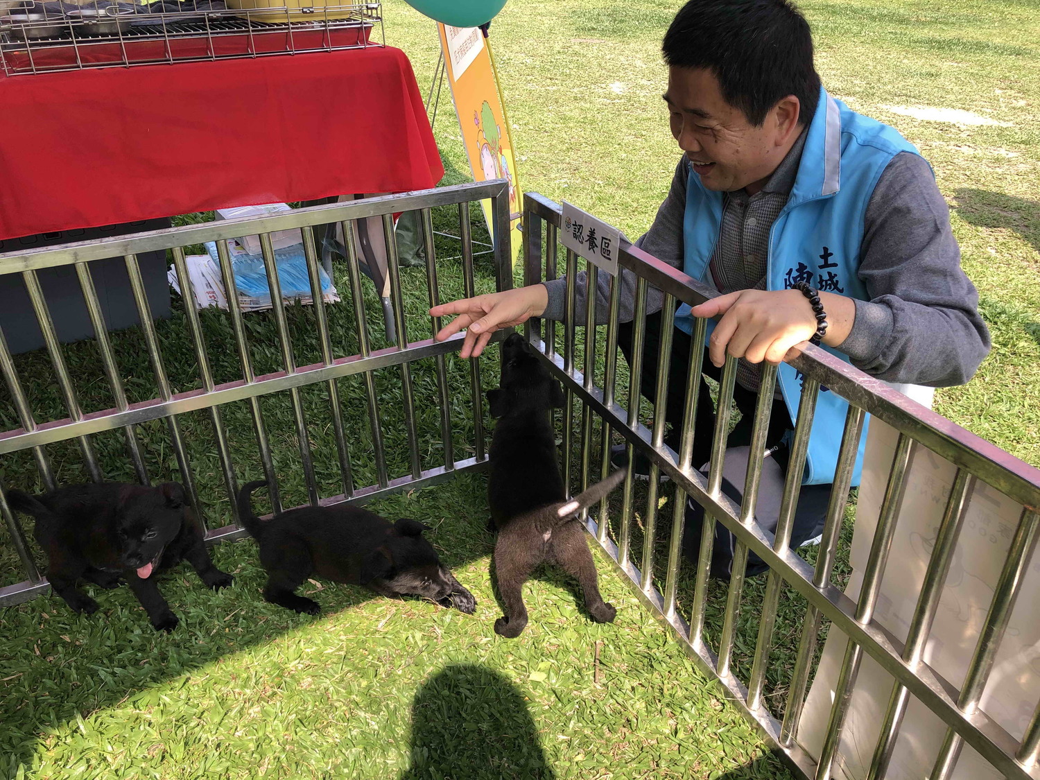 土城區長陳國欽和認養區的狗狗們互動。 圖:新北市動保處提供 土城區長陳國欽和認養區的狗狗們互動。 圖:新北市動保處提供
