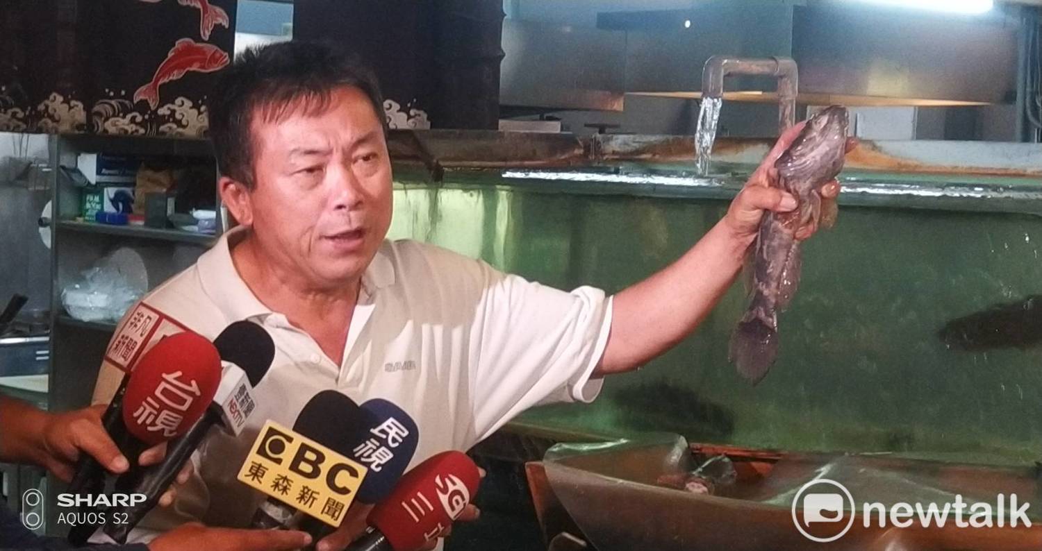 賴秋基抓起一隻筍殼魚嘆,缺水期的魚又小又貴又缺貨。 圖:孫家銘/攝 賴秋基抓起一隻筍殼魚嘆,缺水期的魚又小又貴又缺貨。 圖:孫家銘/攝