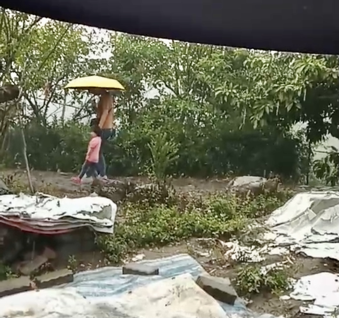 台南曾文水庫集水區、南化、楠西、左鎮下起大雨,民眾難得撐傘,反而覺得開心。 圖:拍鳥俱樂部鳥友提供 台南曾文水庫集水區、南化、楠西、左鎮下起大雨,民眾難得撐傘,反而覺得開心。 圖:拍鳥俱樂部鳥友提供