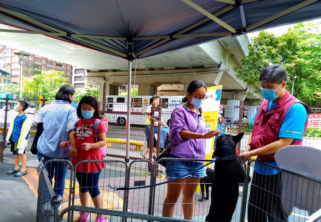 認養區民眾在動保員帶領下和狗狗互動。 圖:新北市動保處提供 認養區民眾在動保員帶領下和狗狗互動。 圖:新北市動保處提供