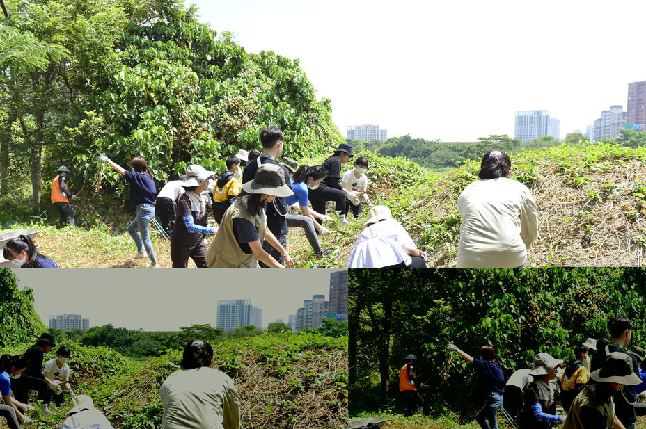 高市府副秘書長郭添貴、青年局長張以理與志工下水清理生態。 圖:高雄市政府青年局/提供 高市府副秘書長郭添貴、青年局長張以理與志工下水清理生態。 圖:高雄市政府青年局/提供