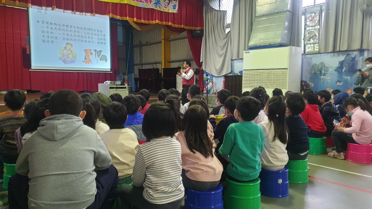 淡水育英國小全體師生專注聽講。 圖:新北市動保處提供 淡水育英國小全體師生專注聽講。 圖:新北市動保處提供