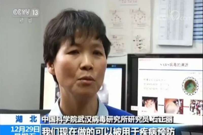 石正麗。 圖 : 翻攝自CCTV 石正麗。 圖 : 翻攝自CCTV