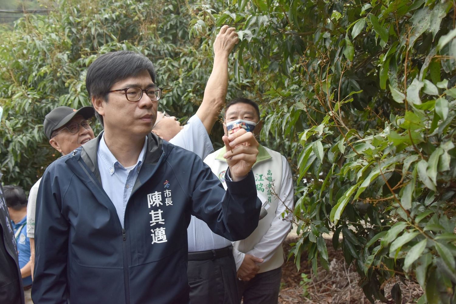 高雄市長陳其邁到大樹荔枝園勘查玉荷包荔枝著果率不佳情況,指示區公所與農業局從寬認定。 圖:高雄市府提供 高雄市長陳其邁到大樹荔枝園勘查玉荷包荔枝著果率不佳情況,指示區公所與農業局從寬認定。 圖:高雄市府提供