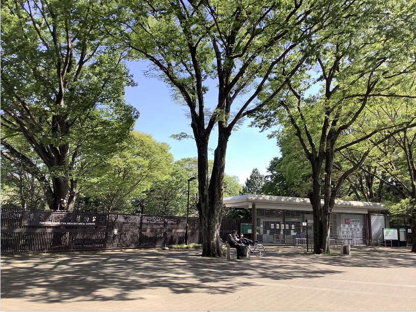 東京都知事把大型都立公園或植物園都關閉起來,其實把人潮趕往鬧區,製造密集及感染。圖為面積超廣大的神代植物園。 圖:劉黎兒攝 東京都知事把大型都立公園或植物園都關閉起來,其實把人潮趕往鬧區,製造密集及感染。圖為面積超廣大的神代植物園。 圖:劉黎兒攝