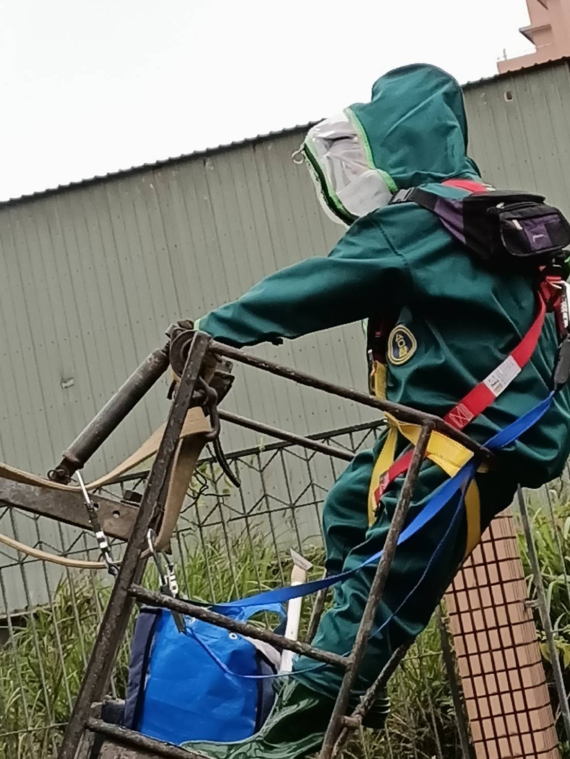 因高空作業需求,動保處採購安全裝備並要求人員熟練操作。 圖:新北市動保處提供 因高空作業需求,動保處採購安全裝備並要求人員熟練操作。 圖:新北市動保處提供