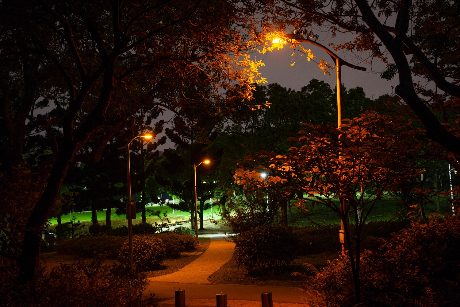 螢火蟲專用LED燈。 圖:北市公園處/提供 螢火蟲專用LED燈。 圖:北市公園處/提供