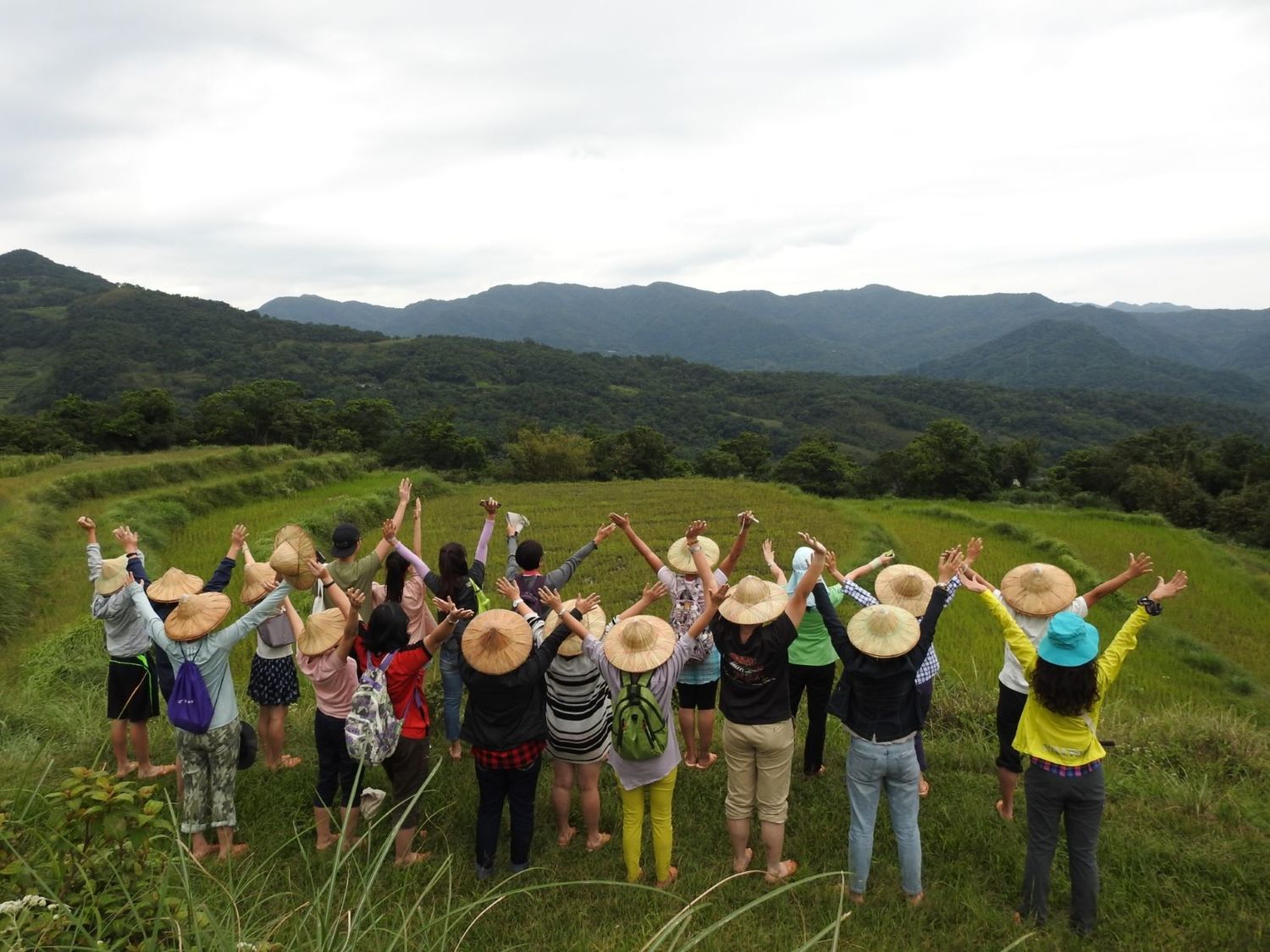 貢寮-和禾生產班水梯田。 圖:新北市農業局提供 貢寮-和禾生產班水梯田。 圖:新北市農業局提供