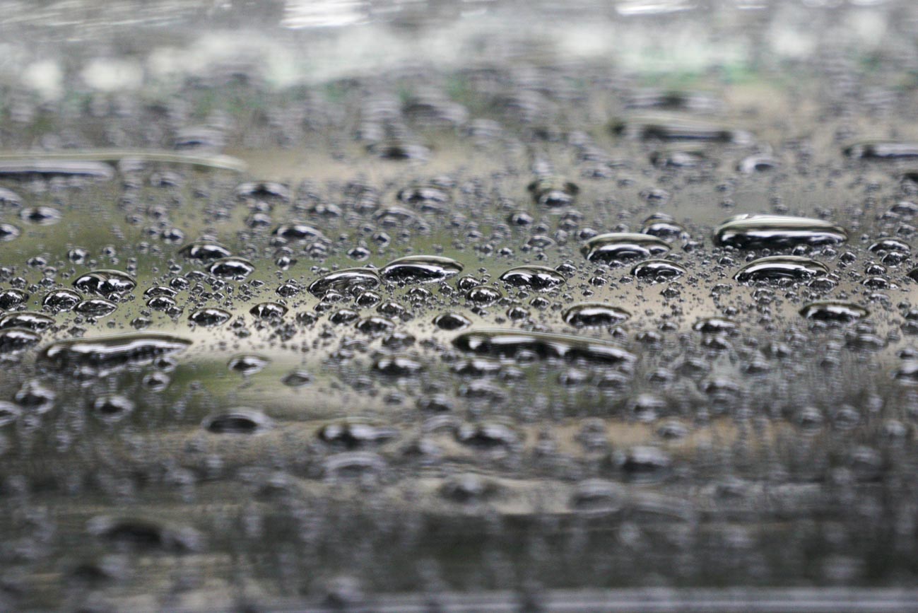 汽車車頂上滿是剛剛下雨的水珠。 圖:張良一/攝 汽車車頂上滿是剛剛下雨的水珠。 圖:張良一/攝