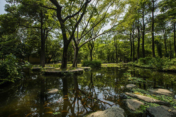 位於鳳山市區的網美景點。 圖:高雄市觀光局提供 位於鳳山市區的網美景點。 圖:高雄市觀光局提供