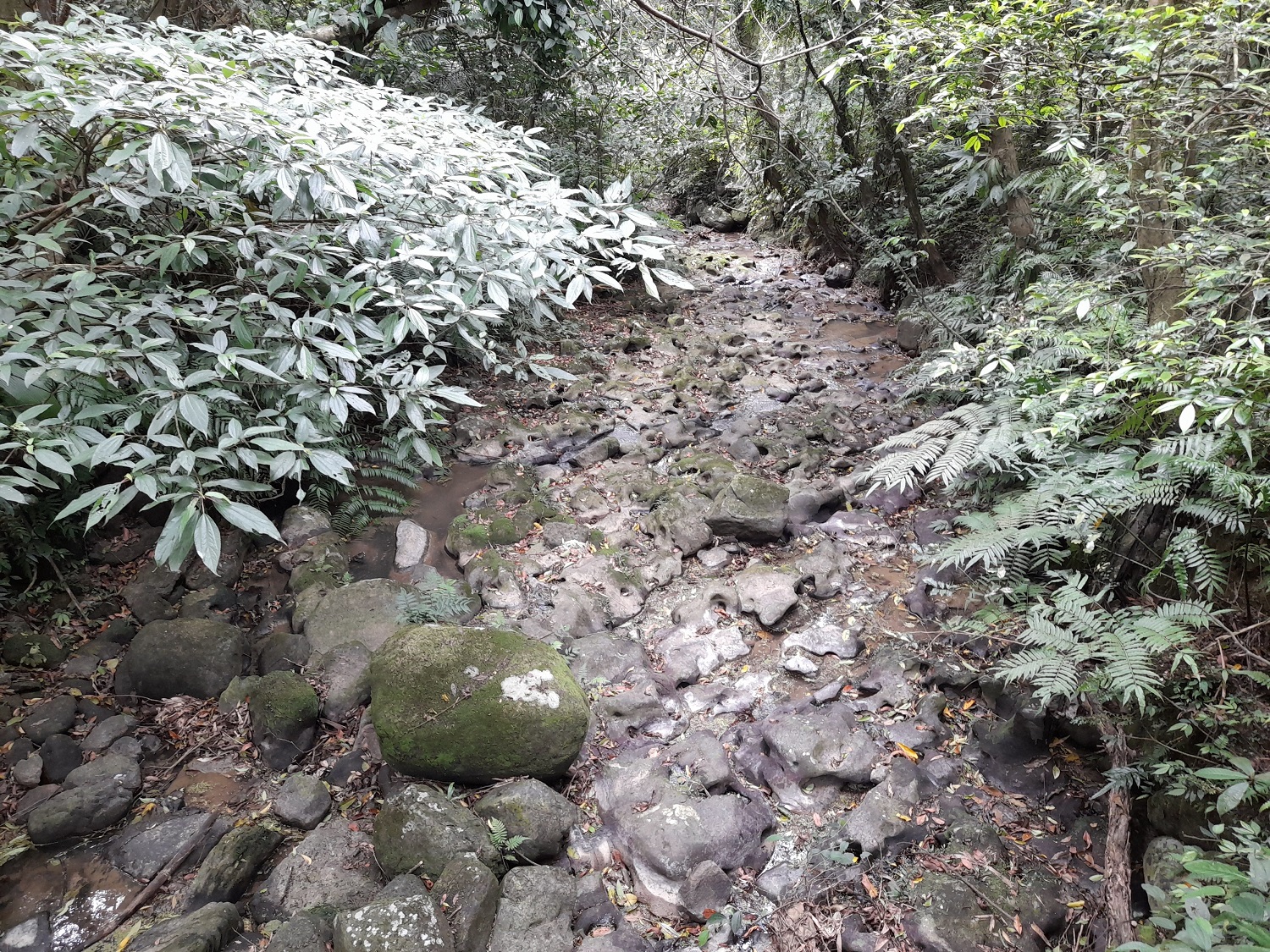 指南溪中游溪谷的壺穴地形,是貓空最具代表性的景觀。 圖:北市大地處/提供 指南溪中游溪谷的壺穴地形,是貓空最具代表性的景觀。 圖:北市大地處/提供