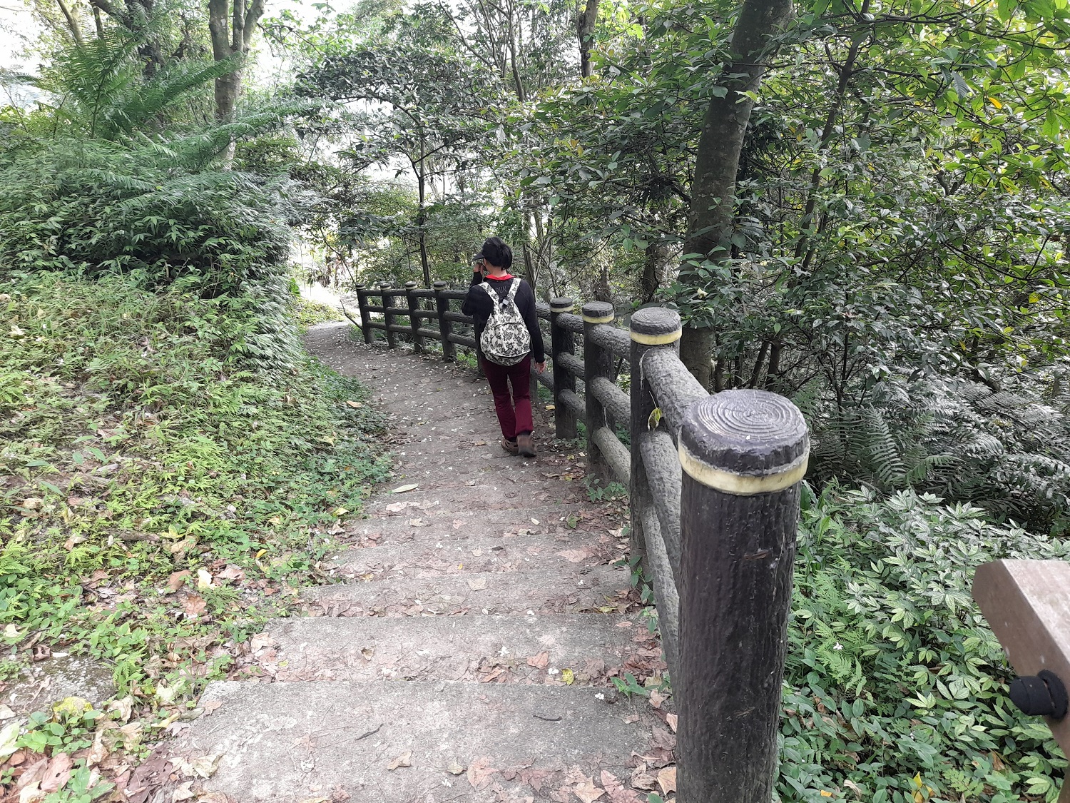 大成殿步道從指南路三段直接陡上,通往指南宮後山道路。 圖:北市大地處/提供 大成殿步道從指南路三段直接陡上,通往指南宮後山道路。 圖:北市大地處/提供