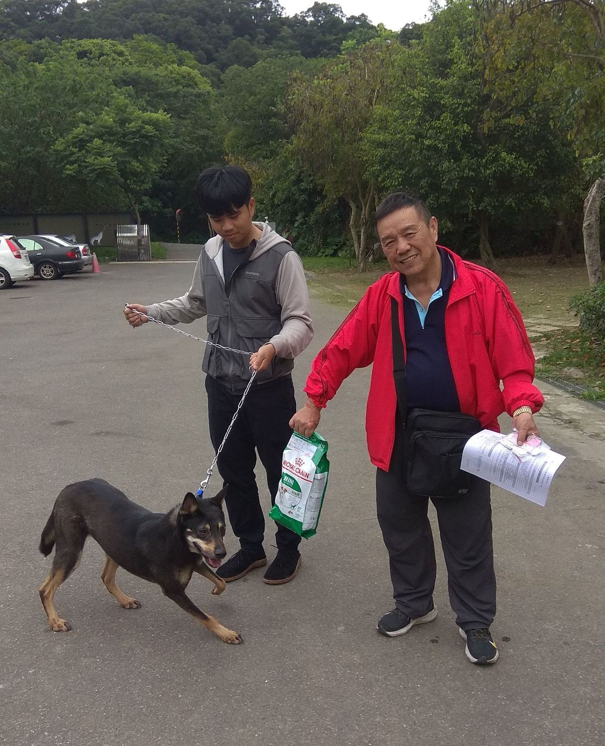 中和動物之家的米克斯成犬被成功認養。 圖:新北市動保處提供 中和動物之家的米克斯成犬被成功認養。 圖:新北市動保處提供