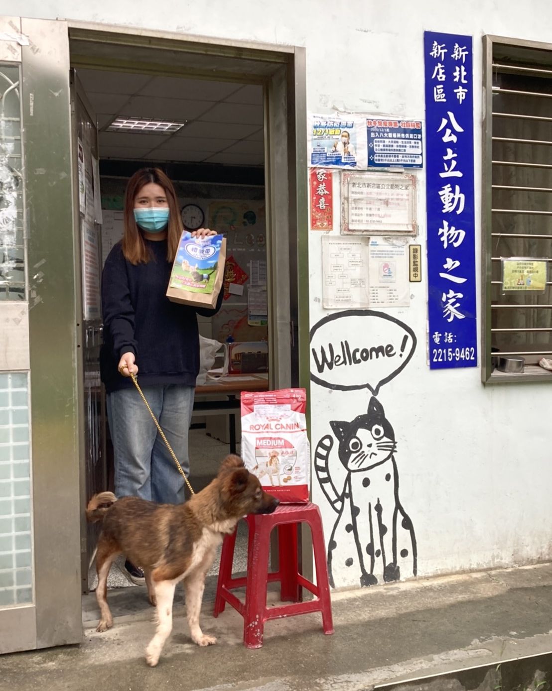 民眾到新店動物之家認養米克斯成犬。 圖:新北市動保處提供 民眾到新店動物之家認養米克斯成犬。 圖:新北市動保處提供