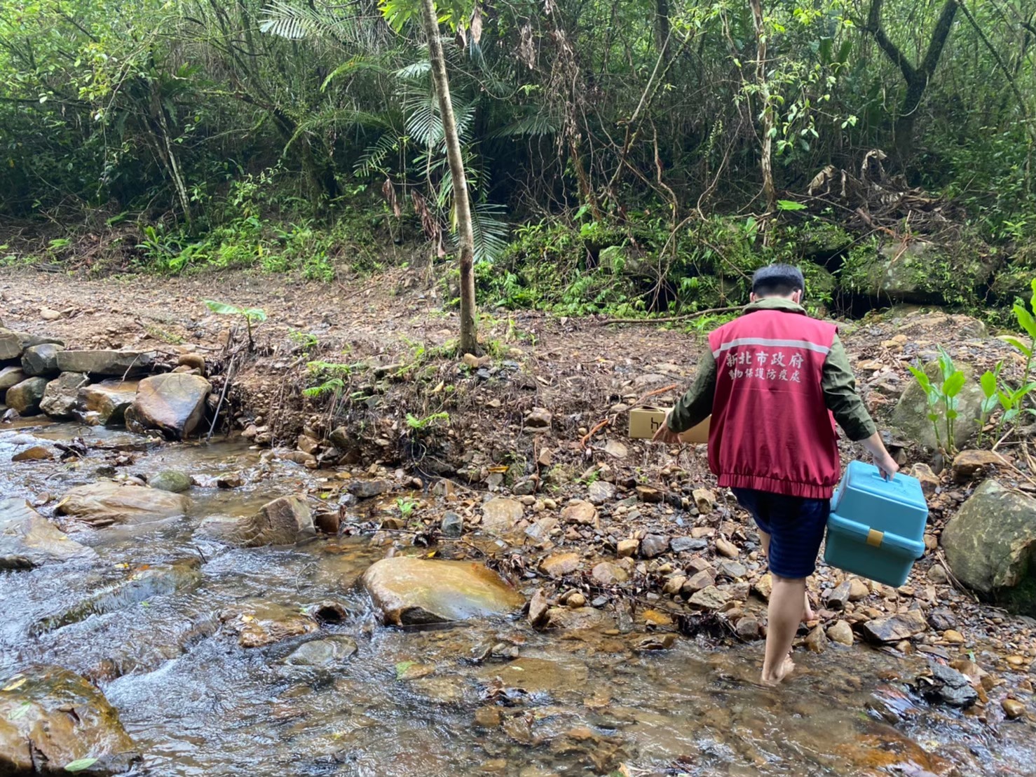 為尋覓適合野放地點,動保處人員跋山涉水。 圖:新北市動保處提供 為尋覓適合野放地點,動保處人員跋山涉水。 圖:新北市動保處提供