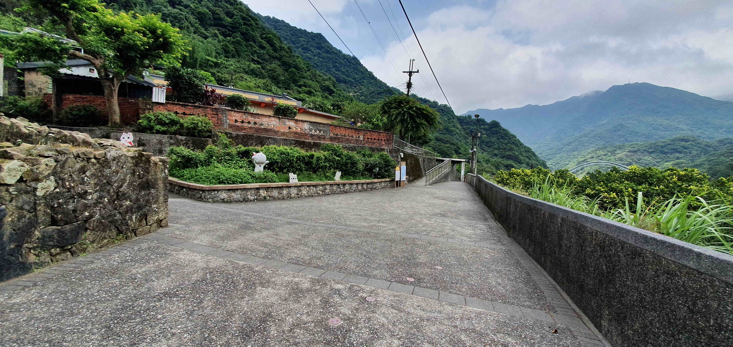 貓村貓咪都知道要減少外出了,也請民眾跟貓咪一起抗疫。 圖:新北市動保處提供 貓村貓咪都知道要減少外出了,也請民眾跟貓咪一起抗疫。 圖:新北市動保處提供