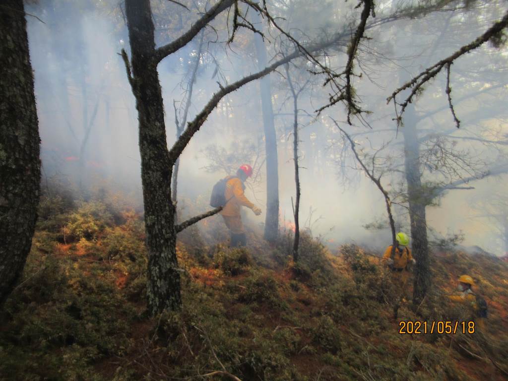 森林護管員長達半個月都在高山上冒著40度以上高溫與野火搏鬥。 圖:林務局提供 森林護管員長達半個月都在高山上冒著40度以上高溫與野火搏鬥。 圖:林務局提供