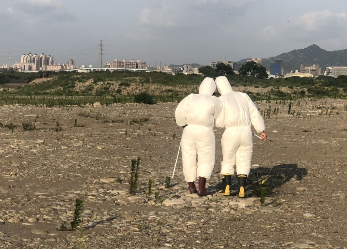 4月18日役用及野放牛隻完成注射。 圖:新北市動保處提供 4月18日役用及野放牛隻完成注射。 圖:新北市動保處提供