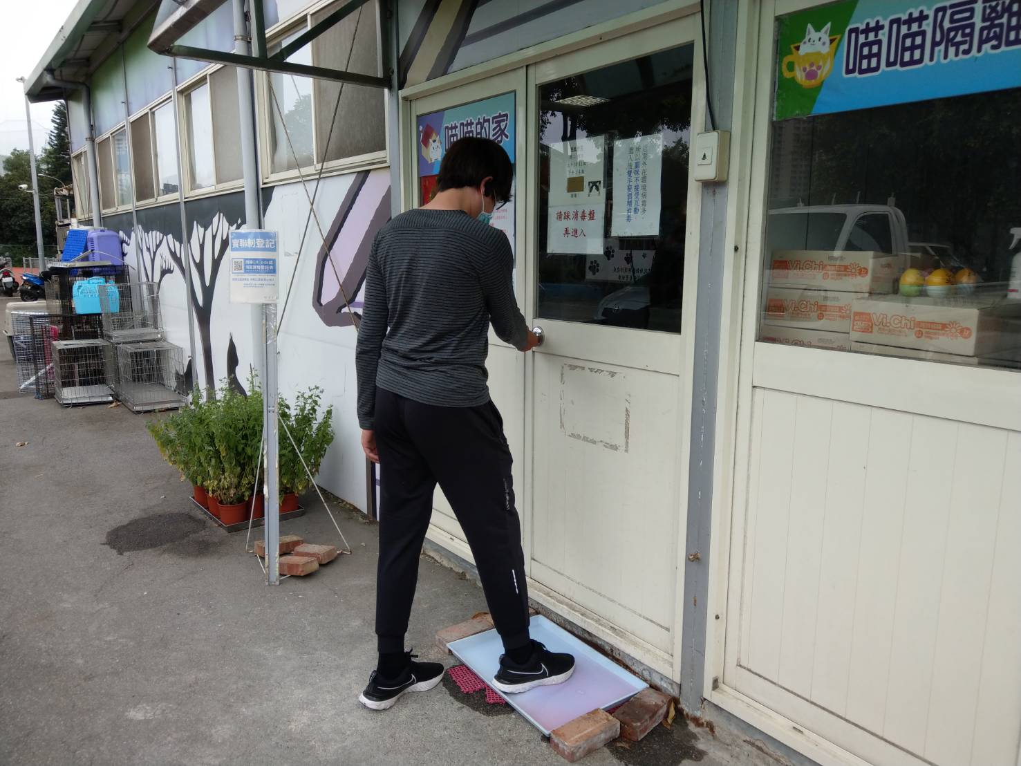 為了防疫,人員進出動物舍必須配合踩踏消毒池。 圖:新北市動保處提供 為了防疫,人員進出動物舍必須配合踩踏消毒池。 圖:新北市動保處提供