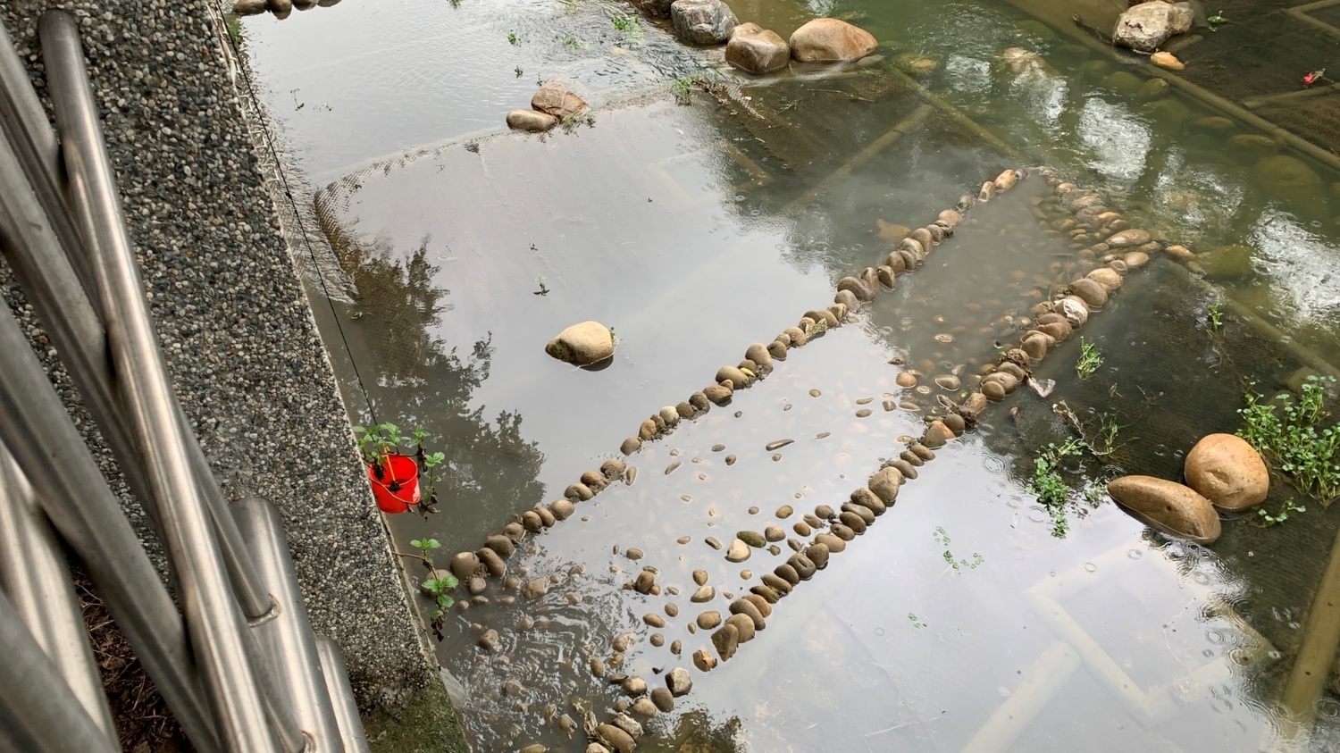 中和區藤寮坑溪排水口,疑遭排放灰白色泥水污染 圖:新北市政府環保局提供 中和區藤寮坑溪排水口,疑遭排放灰白色泥水污染 圖:新北市政府環保局提供