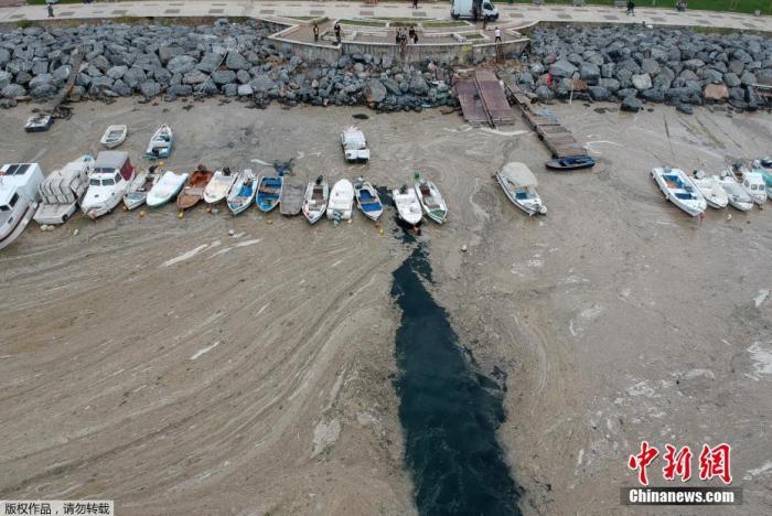 土耳其伊斯坦堡海岸出現的這些黏液俗稱「海鼻涕」,是浮游生物包括藻類釋放出的有毒膠狀有機物質。 圖 : 翻攝自中新網 土耳其伊斯坦堡海岸出現的這些黏液俗稱「海鼻涕」,是浮游生物包括藻類釋放出的有毒膠狀有機物質。 圖 : 翻攝自中新網