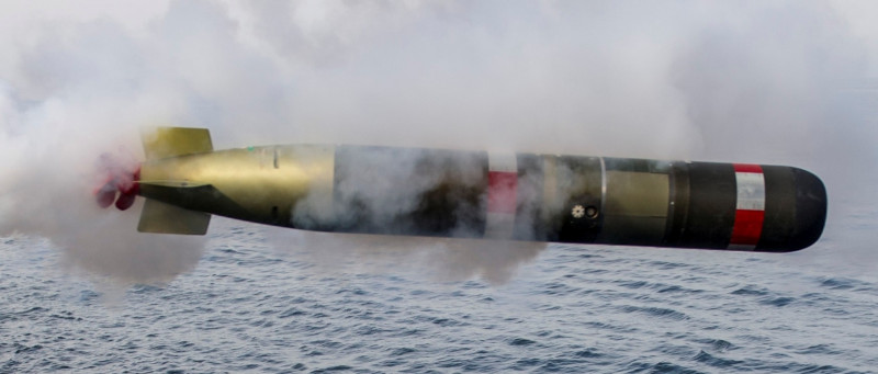 「錘頭鯊」智慧水雷武器模組使用的改良型「Mk54鯖鯊(MAKO)輕型魚雷」 圖:翻攝雷神官網 「錘頭鯊」智慧水雷武器模組使用的改良型「Mk54鯖鯊(MAKO)輕型魚雷」 圖:翻攝雷神官網