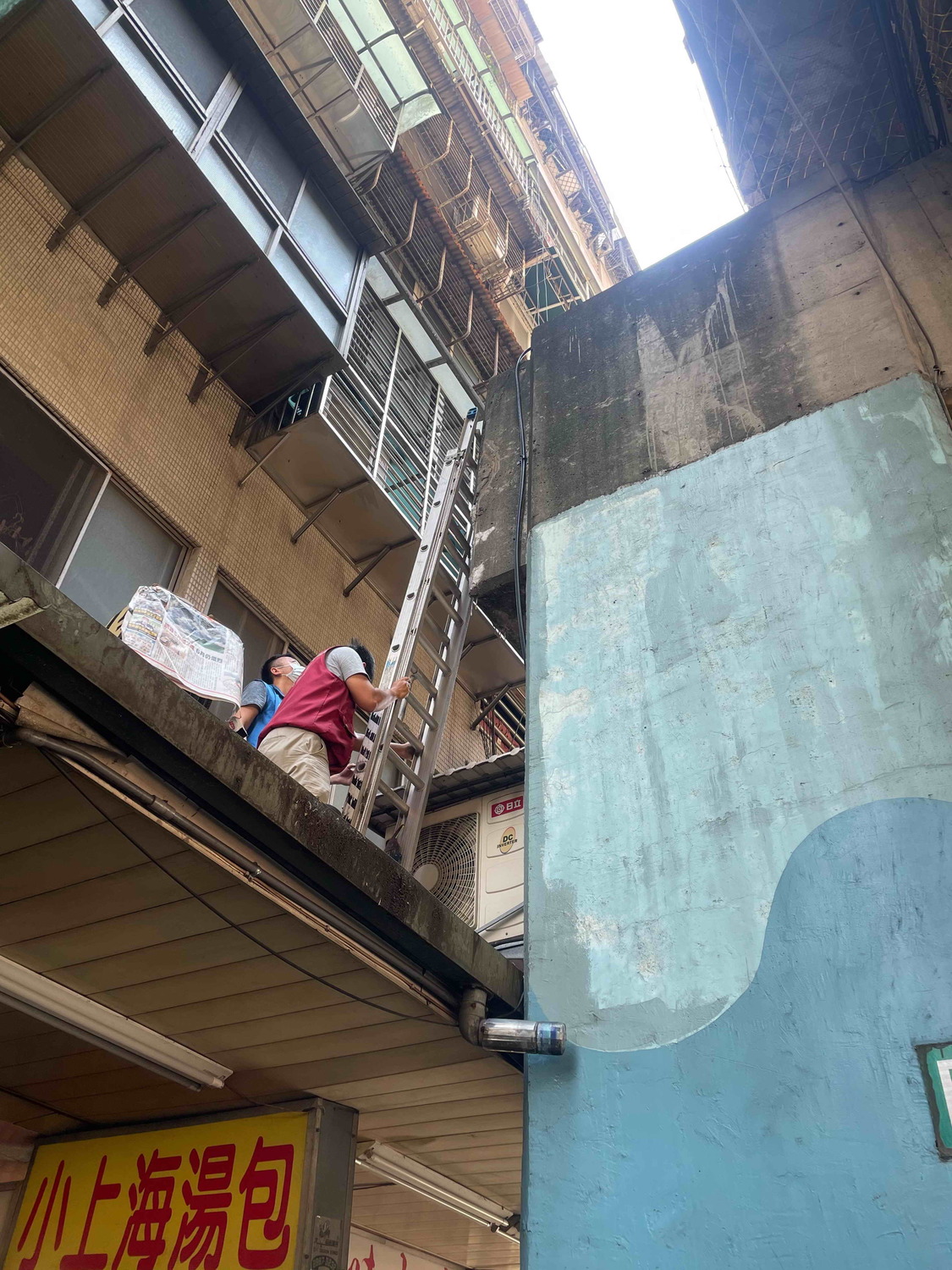 動保員再利用遮雨棚上到橋墩。 圖:新北市動保處提供 動保員再利用遮雨棚上到橋墩。 圖:新北市動保處提供