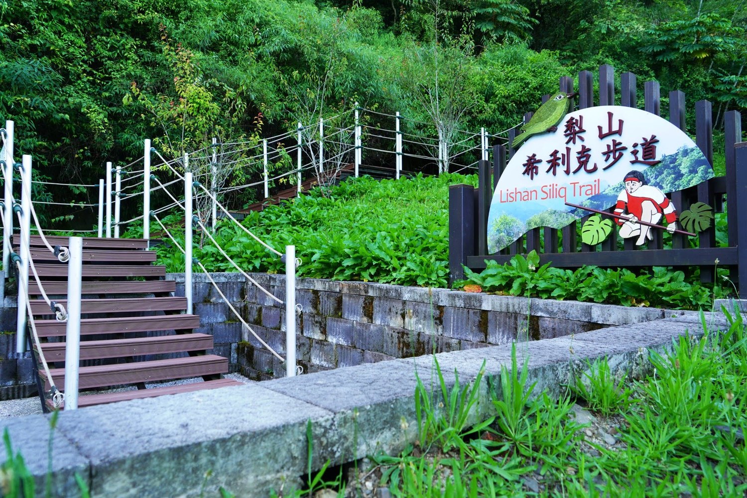 梨山風景區希利克步道713起有條件開放。 圖:參山處/提供 梨山風景區希利克步道713起有條件開放。 圖:參山處/提供