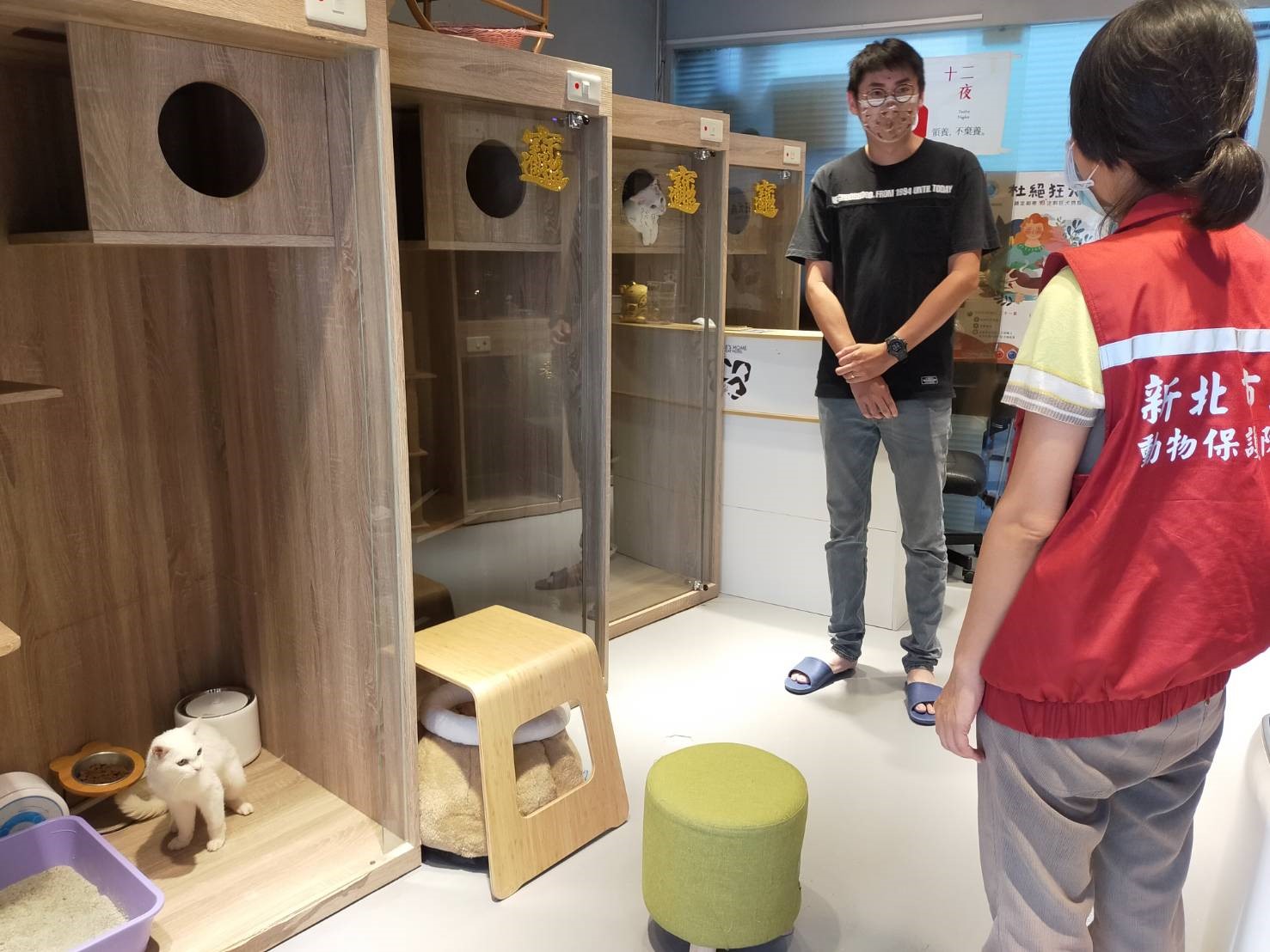 動保處人員不時赴寵物旅館探視咪咪,業者分享照顧共居寵物的小故事。 圖:新北市動保處提供 動保處人員不時赴寵物旅館探視咪咪,業者分享照顧共居寵物的小故事。 圖:新北市動保處提供