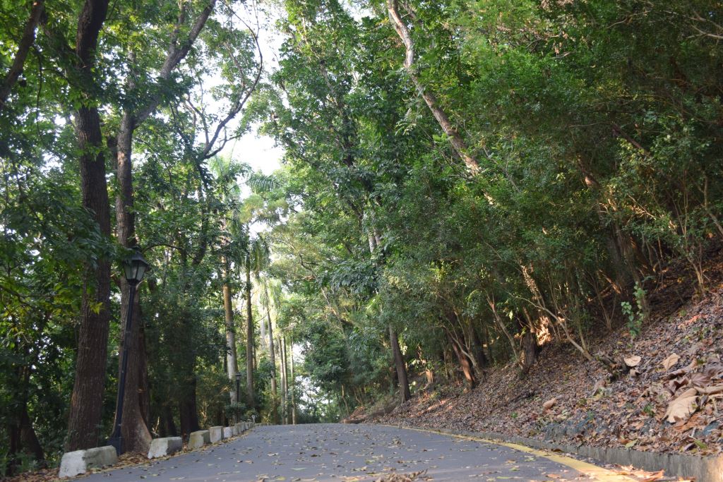 立法院民主議政園區後山步道。 議蘆會館/提供 立法院民主議政園區後山步道。 議蘆會館/提供