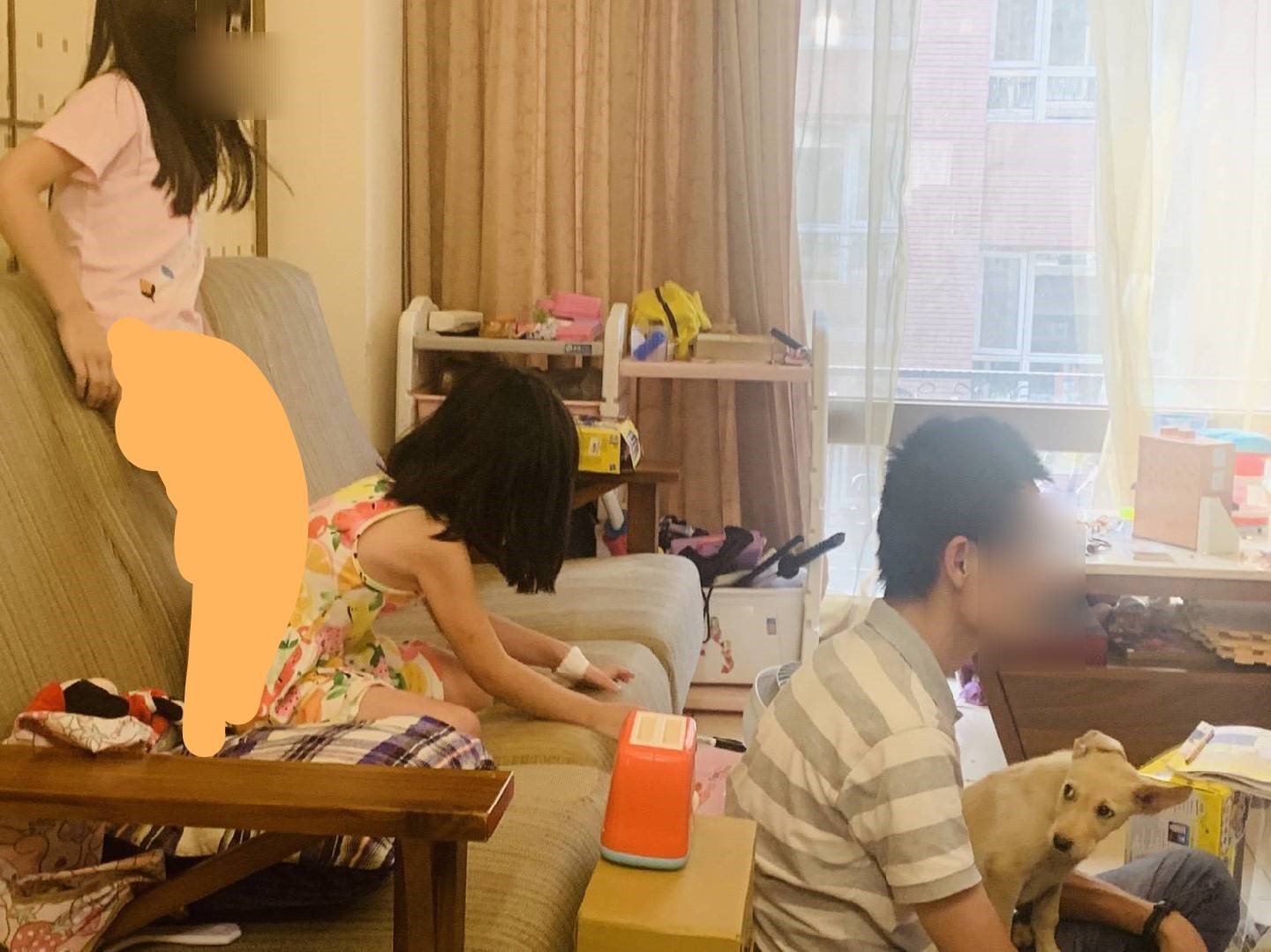 小Q來到新家庭。 圖:新北市動保處提供 小Q來到新家庭。 圖:新北市動保處提供