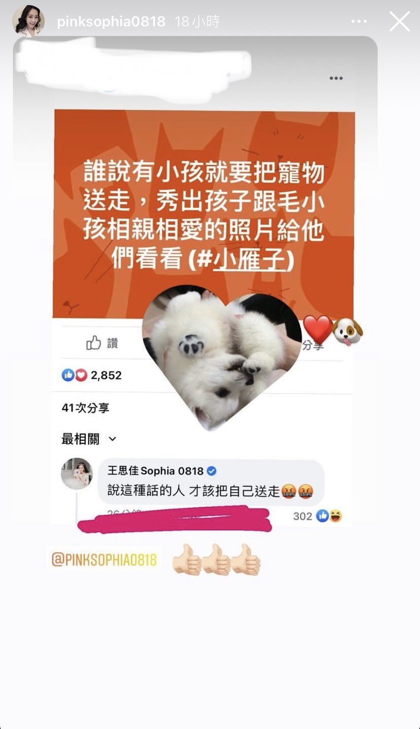 王思佳霸氣回擊,引起全網讚爆。 圖:翻攝自IG 王思佳霸氣回擊,引起全網讚爆。 圖:翻攝自IG
