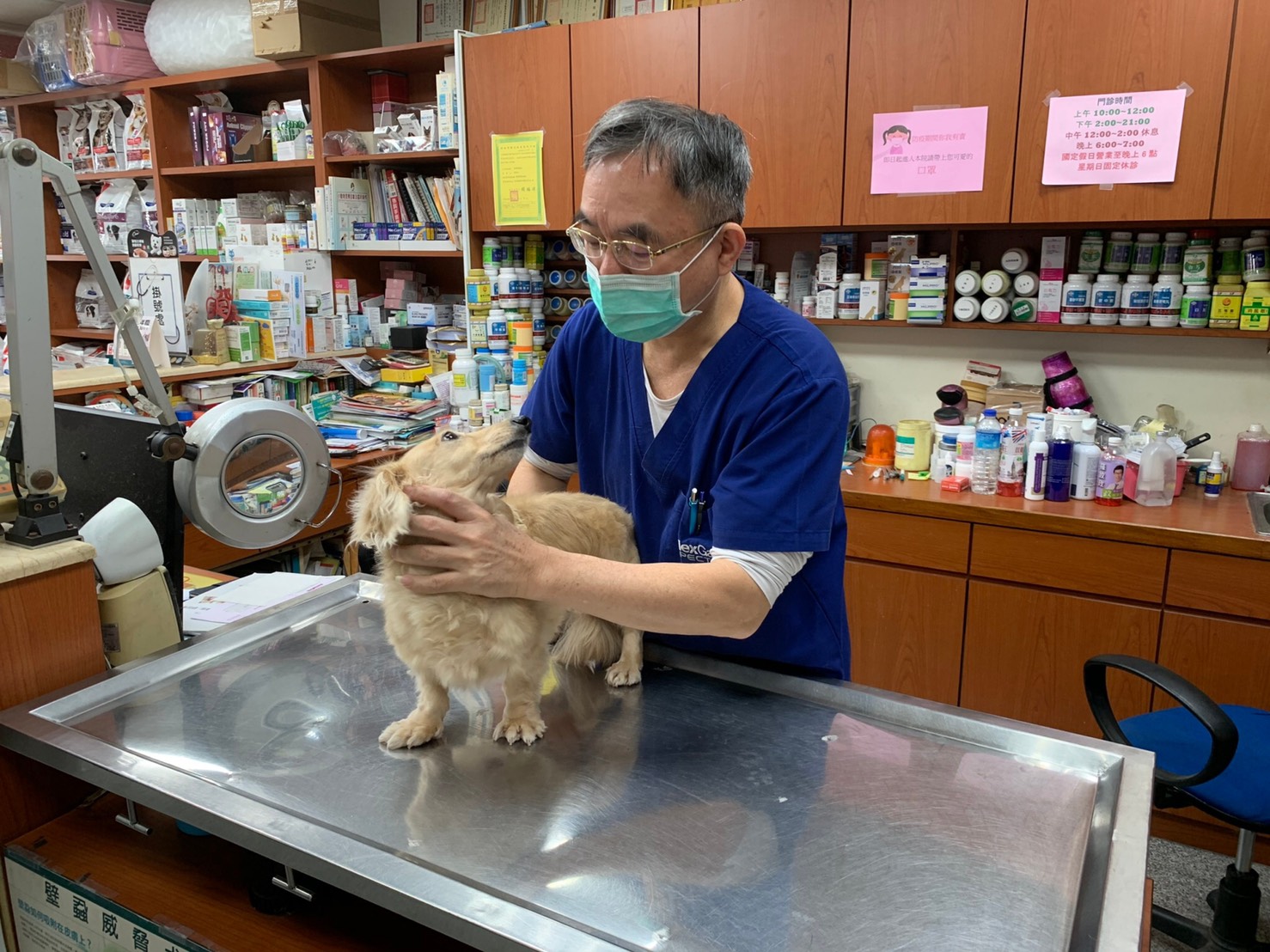 飼主定期帶寵物去健檢,關心毛寶貝的身體狀況。 圖:新北市動保處提供 飼主定期帶寵物去健檢,關心毛寶貝的身體狀況。 圖:新北市動保處提供