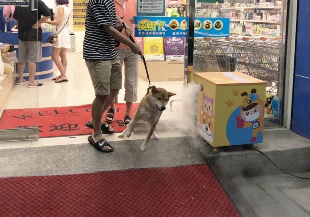 飼主可就近帶毛寶貝至「寵物健康生活站」進行全身皮毛消毒。 圖:新北市動保處提供 飼主可就近帶毛寶貝至「寵物健康生活站」進行全身皮毛消毒。 圖:新北市動保處提供