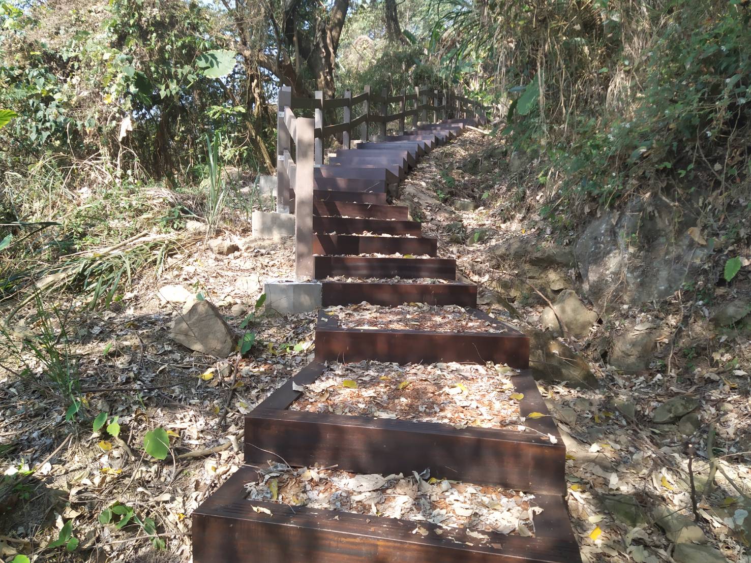 太平區酒桶山登山步道設置透水原木格框階梯完工。 台中市政府觀旅局/提供 太平區酒桶山登山步道設置透水原木格框階梯完工。 台中市政府觀旅局/提供