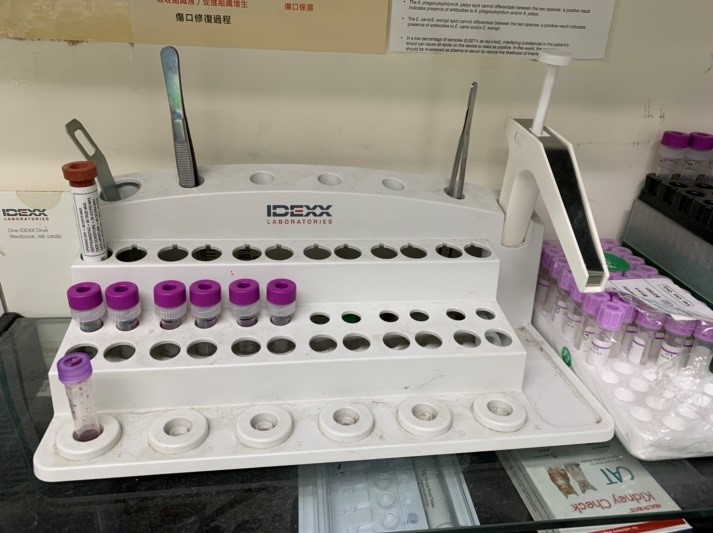 智能AI輔助分析檢驗檢體提升獸醫師診斷效率。 圖:新北市動保處提供 智能AI輔助分析檢驗檢體提升獸醫師診斷效率。 圖:新北市動保處提供