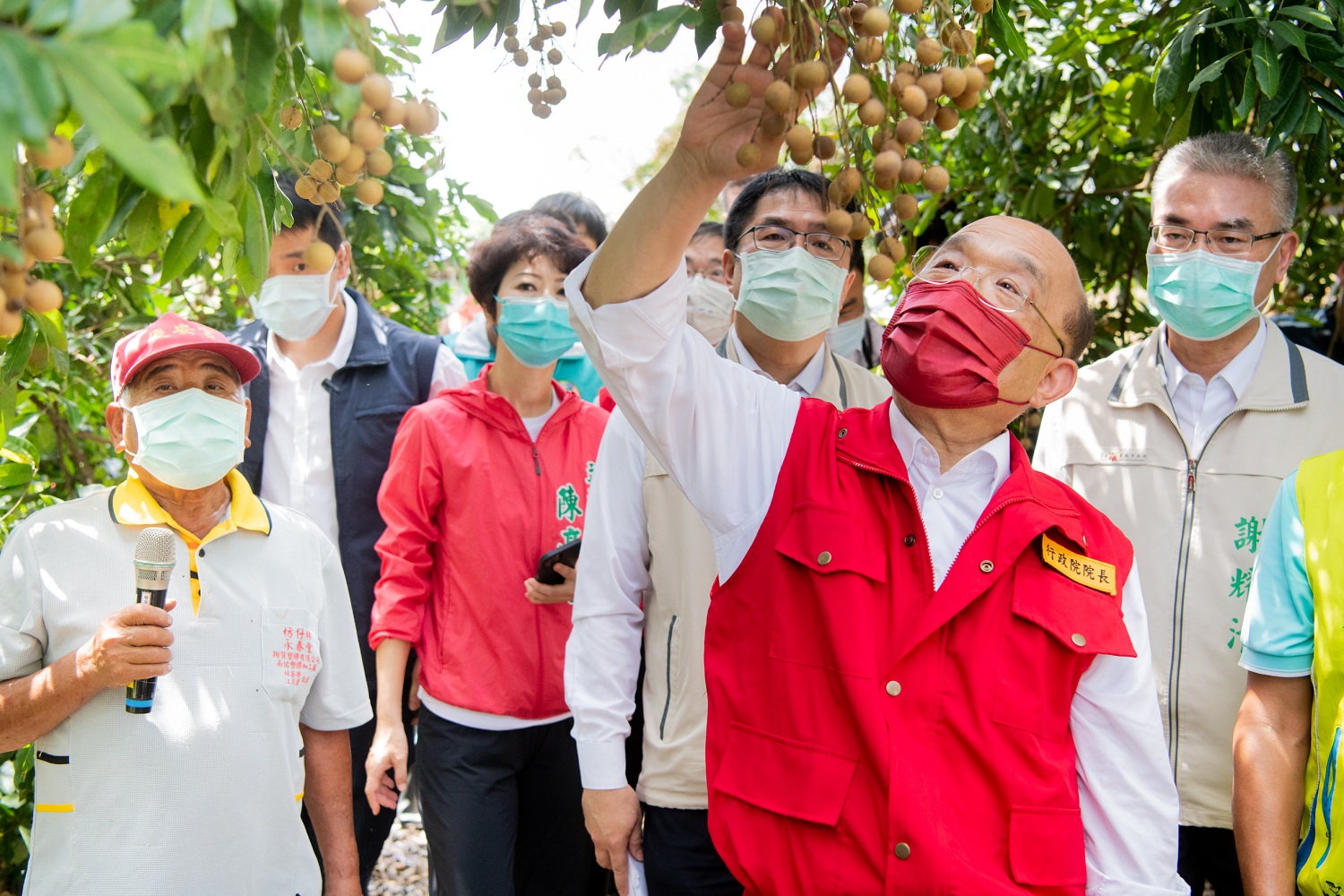 行政院長蘇貞昌至台南市關心0806豪雨致龍眼農損情形。 圖:行政院提供 行政院長蘇貞昌至台南市關心0806豪雨致龍眼農損情形。 圖:行政院提供