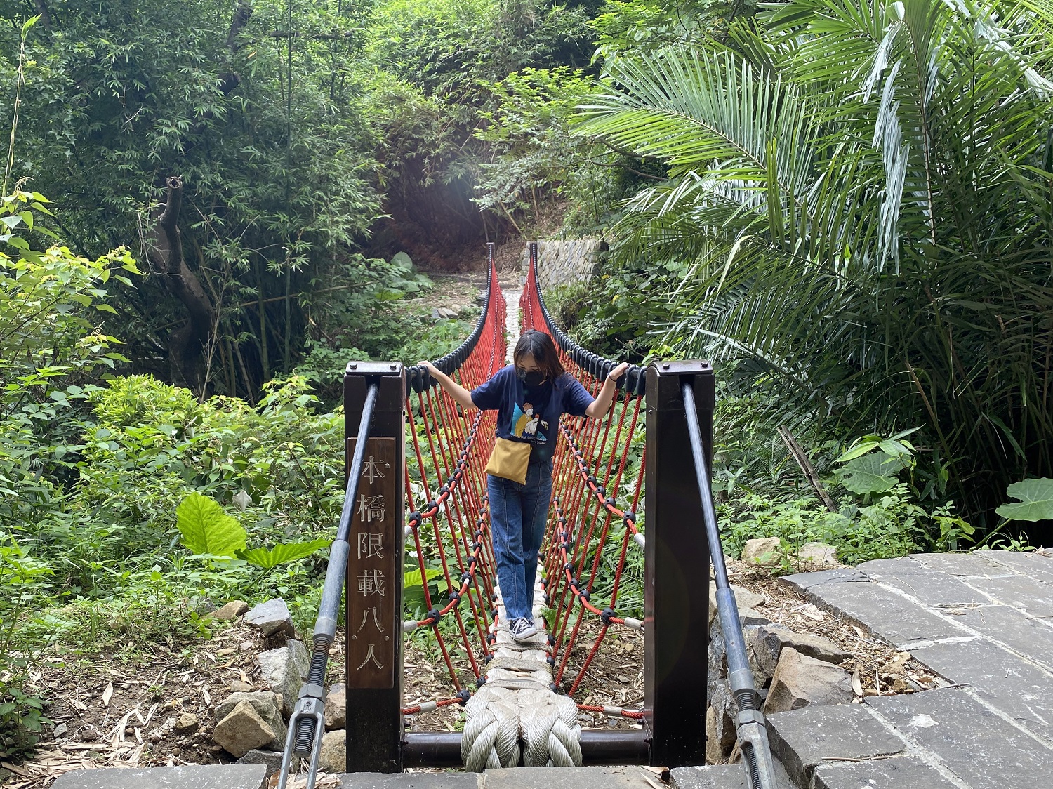 半嶺吊橋串聯半嶺產業道路。 圖:台北大地工程處/提供 半嶺吊橋串聯半嶺產業道路。 圖:台北大地工程處/提供