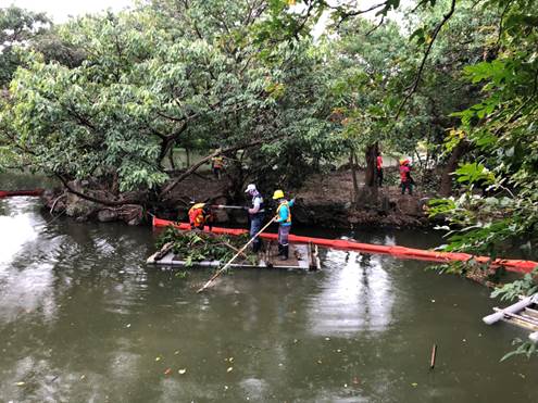 公園處進行生態島樹木修枝作業。 圖:青年公園管理所/提供 公園處進行生態島樹木修枝作業。 圖:青年公園管理所/提供