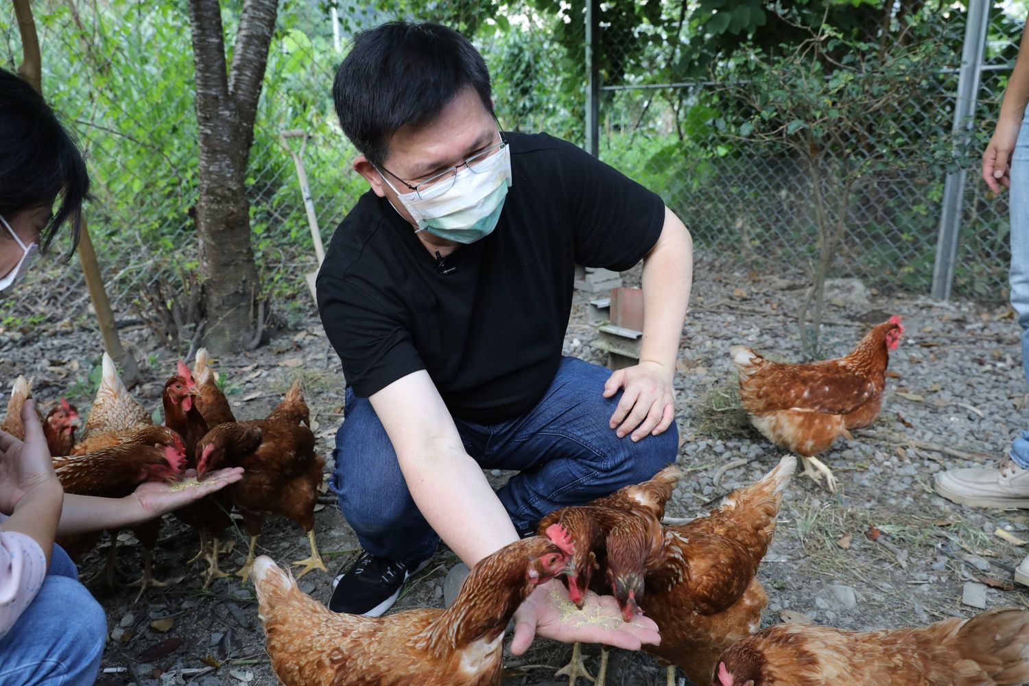 林佳龍在部落體驗餵雞。 光合基金會/提供 林佳龍在部落體驗餵雞。 光合基金會/提供