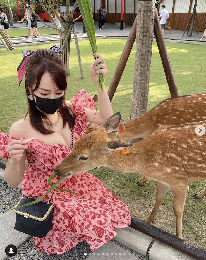 林佩瑤穿著低胸洋裝餵食梅花鹿。 圖:翻攝IG/林佩瑤 林佩瑤穿著低胸洋裝餵食梅花鹿。 圖:翻攝IG/林佩瑤