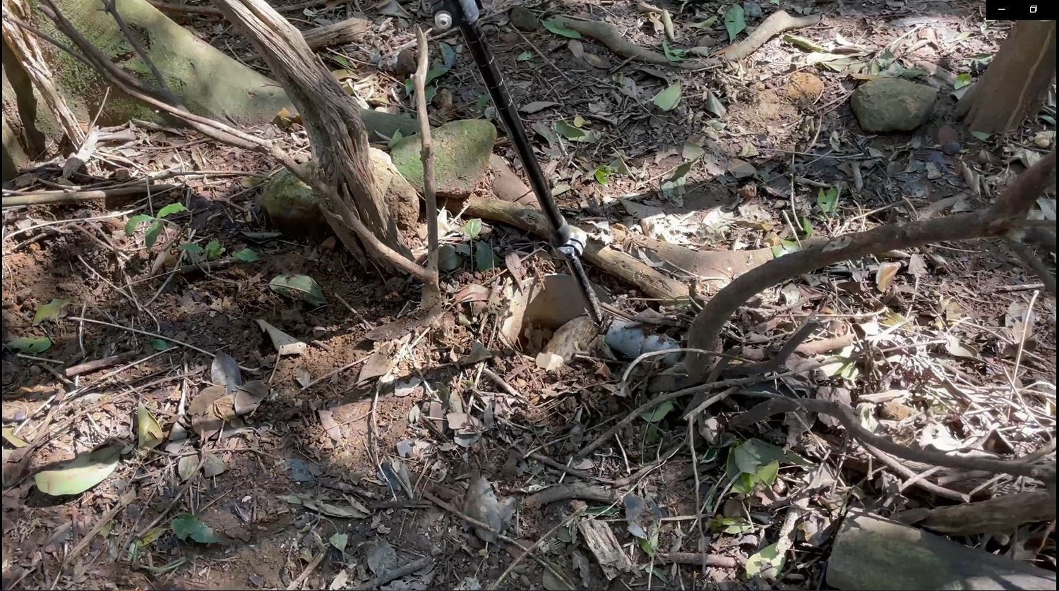 違法使用獸鋏或山豬吊捕捉動物,經查獲可處新臺幣1萬5000元以上7 萬5000以下罰鍰。 圖:新北市動保處提供 違法使用獸鋏或山豬吊捕捉動物,經查獲可處新臺幣1萬5000元以上7 萬5000以下罰鍰。 圖:新北市動保處提供