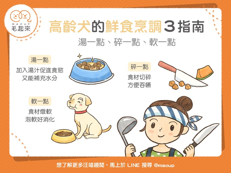 高齡犬的飲食建議湯一點、碎一點和軟一點(圖片來源臉書 毛起來MAOUP)。 圖:新北市動保處提供 高齡犬的飲食建議湯一點、碎一點和軟一點(圖片來源臉書 毛起來MAOUP)。 圖:新北市動保處提供