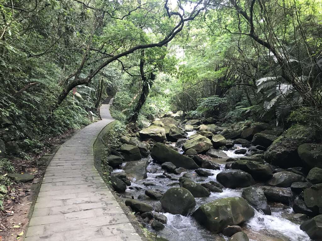 大溝溪上游保留自然溪谷溪床上可見大小石頭十分自然。 圖:台北大地處/提供 大溝溪上游保留自然溪谷溪床上可見大小石頭十分自然。 圖:台北大地處/提供