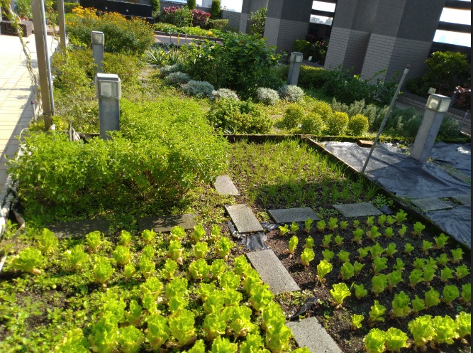 新北市推廣循環零廢的生活。 圖:新北市環保局提供 新北市推廣循環零廢的生活。 圖:新北市環保局提供