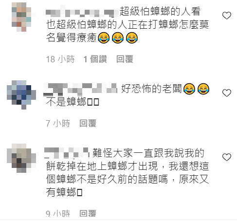 關韶文怕蟑螂的逗趣模樣引起討論。 圖:翻攝自關韶文IG 關韶文怕蟑螂的逗趣模樣引起討論。 圖:翻攝自關韶文IG
