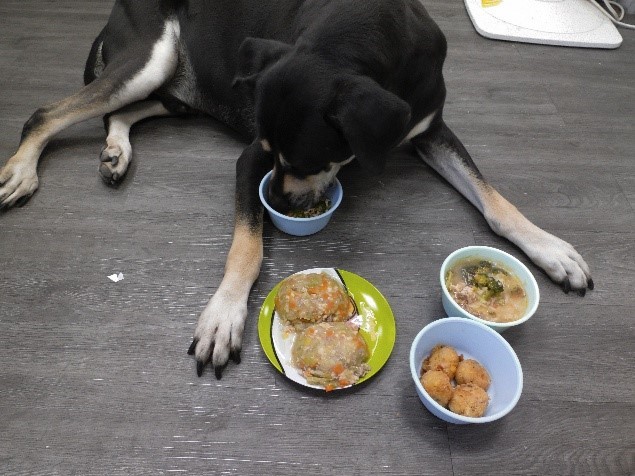飼主準備寵物鮮食應注意營養及避開禁忌食物。 圖:新北市動保處提供 飼主準備寵物鮮食應注意營養及避開禁忌食物。 圖:新北市動保處提供